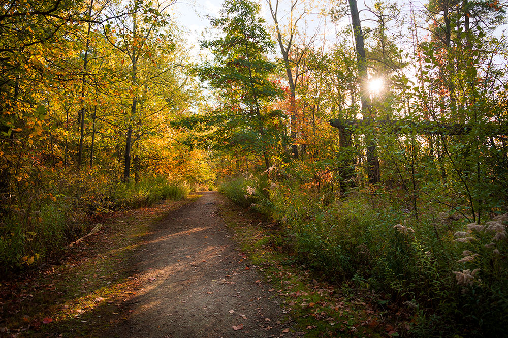 The Riverwood Conservancy 0